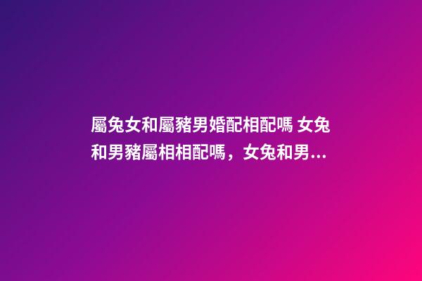 屬兔女和屬豬男婚配相配嗎 女兔和男豬屬相相配嗎，女兔和男豬相配嗎-第1張-觀點-玄機派